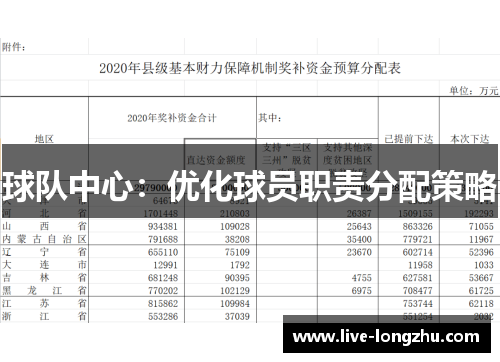 球队中心：优化球员职责分配策略